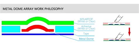 buy wholesale china metal dome switch cross dome  legged gold plating