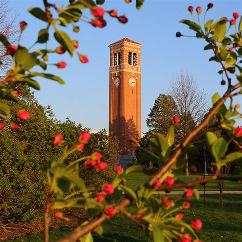 uni bands   wake  covid   uni