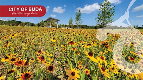 Air Quality | Buda, TX - Official Website