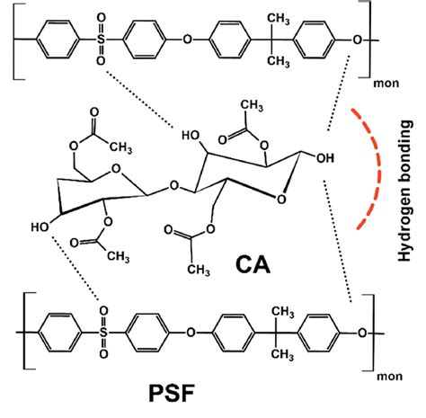 Structure Representation Of Cellulose Acetate Ca And Polysulfone Psf