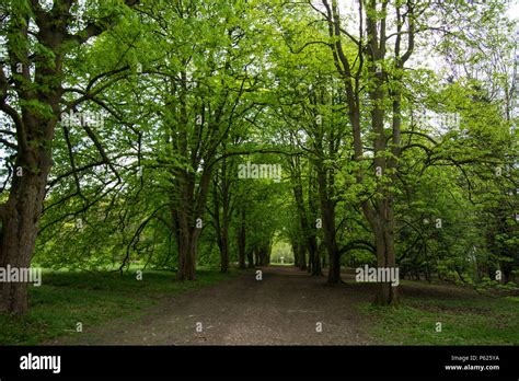 Country Garden England Stock Photo Alamy