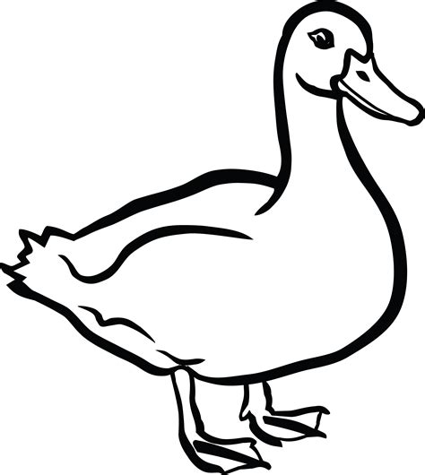 11+ Duck Clipart - Preview : A Happy Running D | HDClipartAll