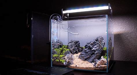 17 Best Rocks For Freshwater Aquarium In 2023 Aquariumistics