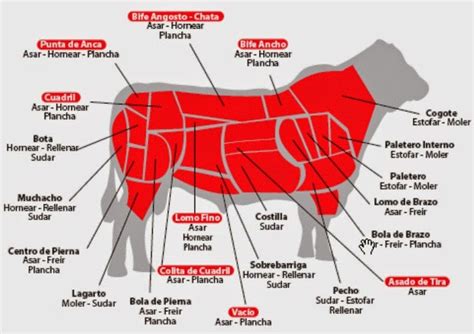 39 De Que Parte De La Vaca Es El Suadero BaljitAletta