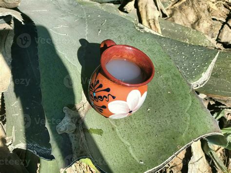 Pulque And Maguey The Essence Of Mexico Rich Cultural Heritage