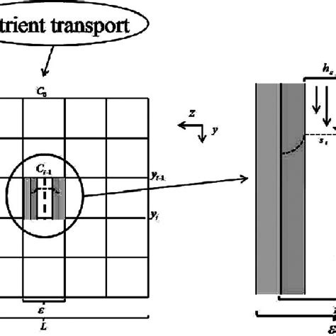 Representation of the macroscopic reactor (left) by mesoscopic cells of ...