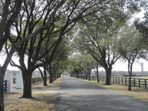 The Schramm Journey: Southfork Ranch, Dallas, Texas