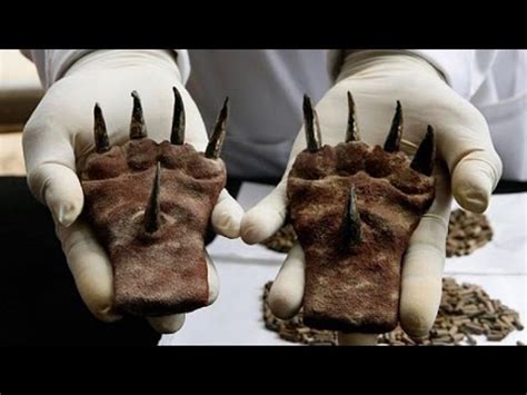 7 WTF Discoveries from History - HIGH T3CH