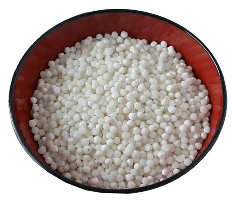 Sabudana Seeds