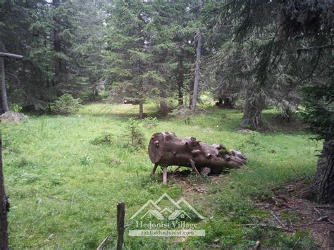 Foto Galerija – Zabljak Hedonist Village