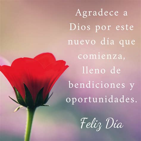 imagenes de buenos dias las mejores imagenes  gifs de buenos dias