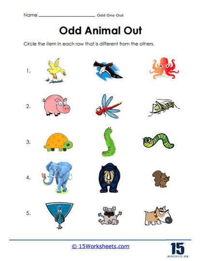 Odd One Out Worksheets 15