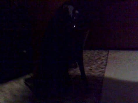 Opentoe Naked Decollet High Heels Thisvid