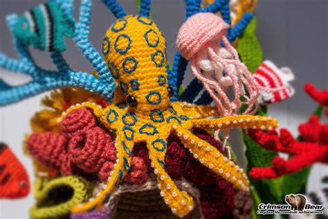 Синекольчатый осьминог | Пикабу