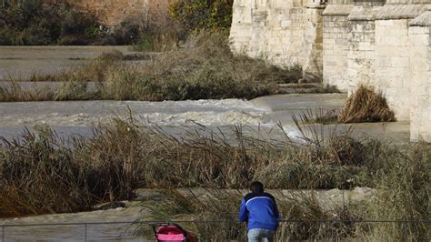 El Caudal Del R O Guadalquivir Recupera La Normalidad En C Rdoba En