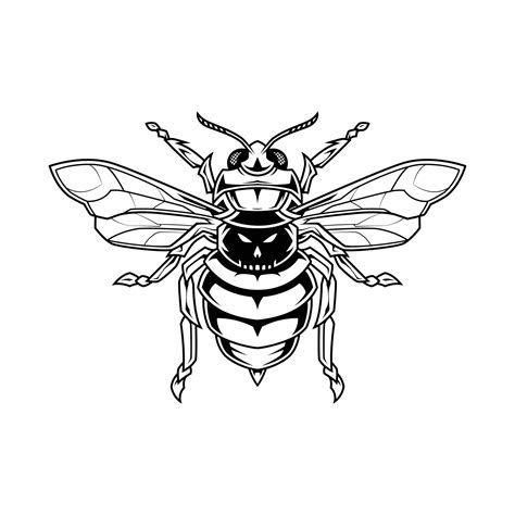 Bee Skull Line Art Illustration 4967413 Vector Art At Vecteezy