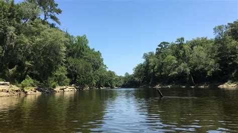 Withlacoochee River 1 Best Withlacoochee River State Forest