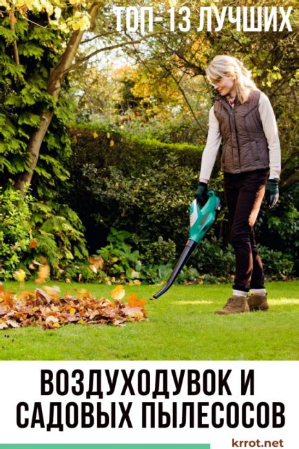 ТОП-13 Лучших Воздуходувок и Садовых Пылесосов | Рейтинг