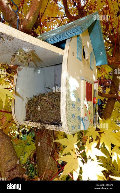 Clean bird box hi-res stock photography and images - Alamy