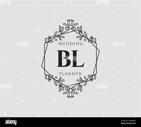 Bl Initials Letra Boda Monograma Colecci N Logotipos Mano Dibujado