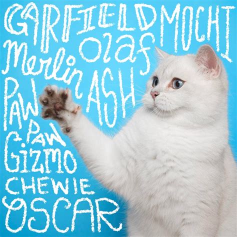 cute names for male cats 8