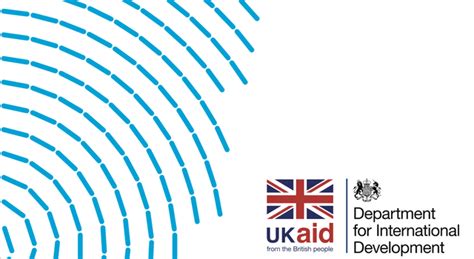 dfid  data   development program decisions ictworks