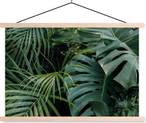 Posterhanger Incl Poster Schoolplaat Planten Jungle Bladeren