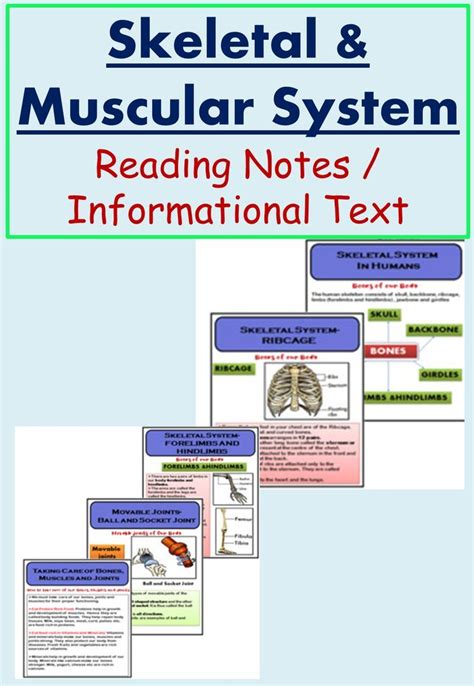 Skeletal System And Muscular System Reading Materials Notes