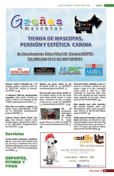 Andale 222 By Andale Revista Issuu