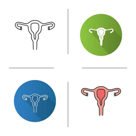 Uterus Fallopian Tubes And Vagina Icon Female Reproductive System Flat Design Linear And