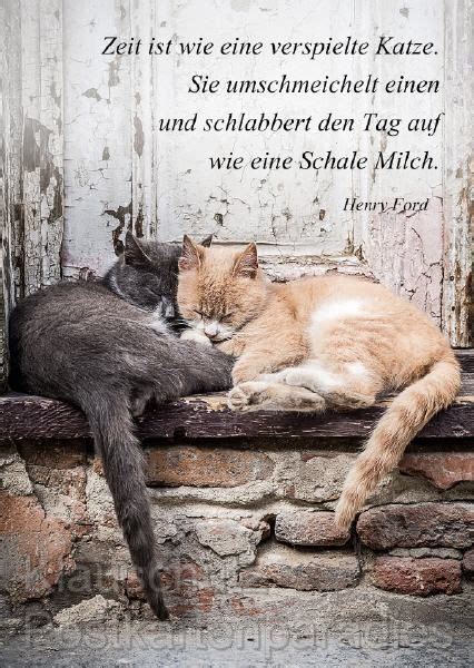 Katzenspr Che Katzenspr Che Katzen Zitate Spr Che Katze