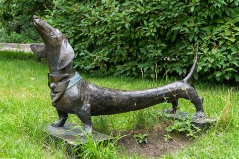 Памятники животным в Санкт-Петербурге - фото с описанием [22 памятника]