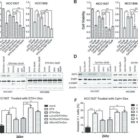 Dex Induced Klf Contributes To Dex Mediated Drug Resistance A B