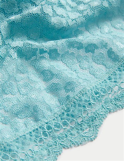 Pk Lace Mesh Bikini Knickers