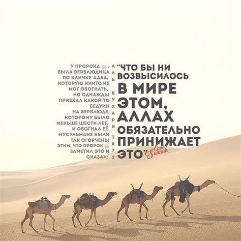 Следуй Корану и сунне! в Instagram: «Перед Аллахом падают ниц все ...