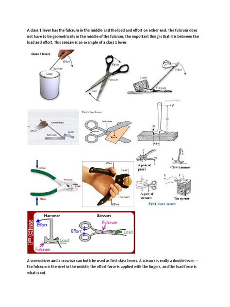 Types of Levers | Lever | Human Anatomy