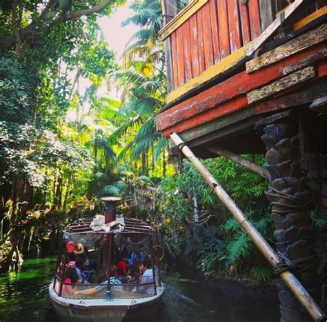 Jungle Cruise House Styles Cruise Cabin