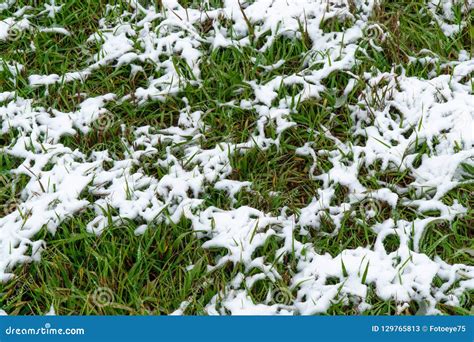 Grass And Ground Covered In Snow In Winter Stock Image Image Of Field Nature 129765813