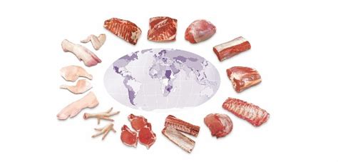food investment holdings limited