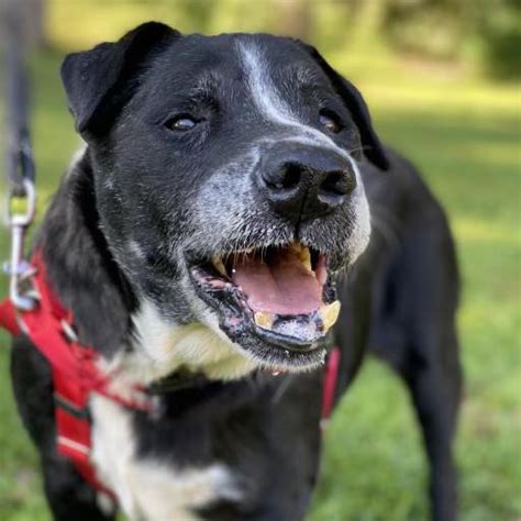 The Daily News | Jacksonville NC