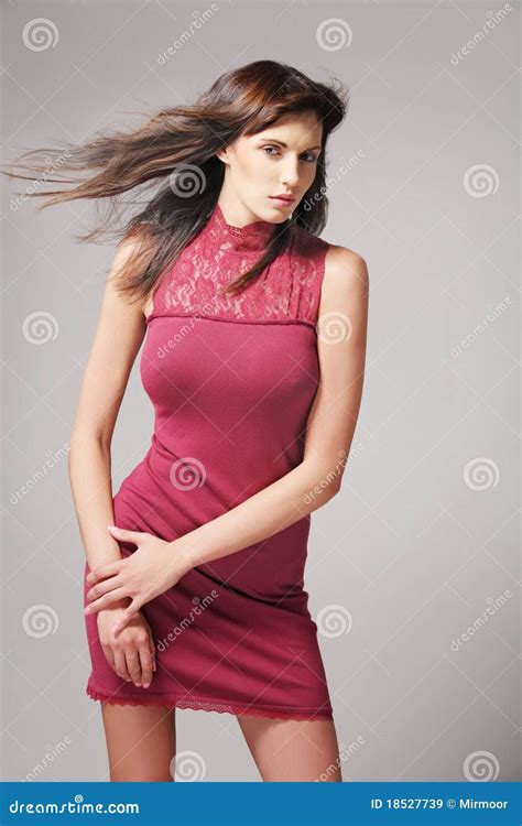 Brunette Joven Hermoso Con Las Flores En Pelo Imagen De Archivo Imagen De Flores Cara