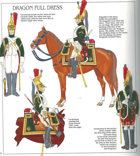 Empress Dragoons Trooper Cavalry Napoleonic Wars French Army