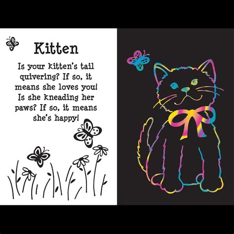 Scratch And Sketch Furry Friends An Art Activity Book For Animal Lovers And Artists Of All Ages Scratch Sketch 3