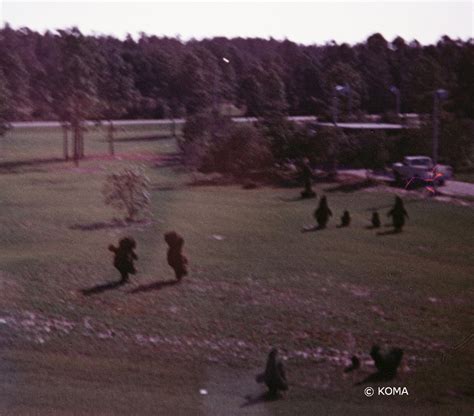 A Stroll Down Memory Lane Magic Kingdom 1973 Allearsnet
