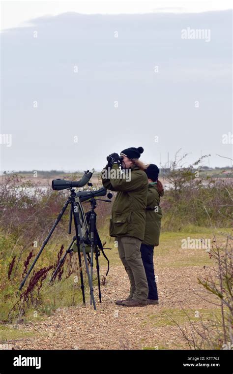 Birdwatching Birders Or Twitchers Looking Through Binoculars And