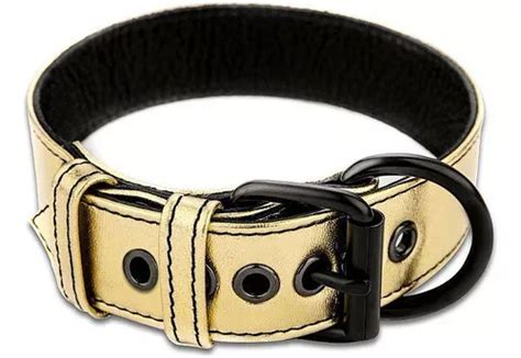 Collar De Lujo Con Banda El Stica Y Gu A Dorada Sex Shop Mercadolibre