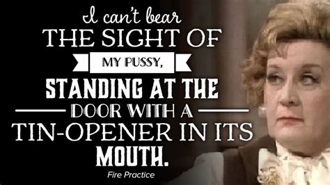 A Tribute To Mrs Slocombe S Pussy Artofit