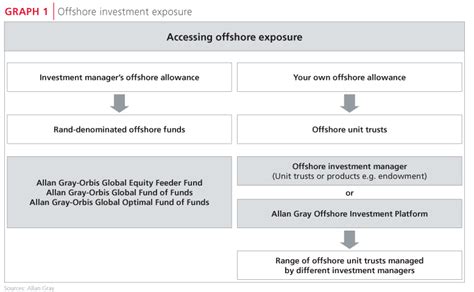 allan gray understanding  offshore investment options