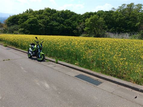 へなちょこ探検隊さんの投稿した愛車情報 Tornado Naked T TNT カラダは つしかないのに先程 台目を納