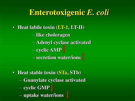 Ppt Enterobacteriaceae Vibrio Campylobacter Helicobacter